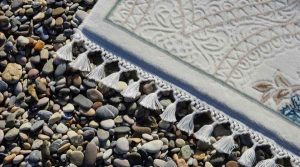 Carpet Cleaner | BJC Professional Carpet Cleaning & Restoration - Blog (When to Clean Carpet)
