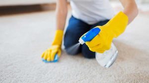 Carpet Cleaner | BJC Professional Carpet Cleaning & Restoration - Blog (How to Clean Carpet)