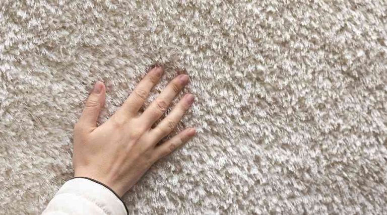 carpet cleaning - 101 eng