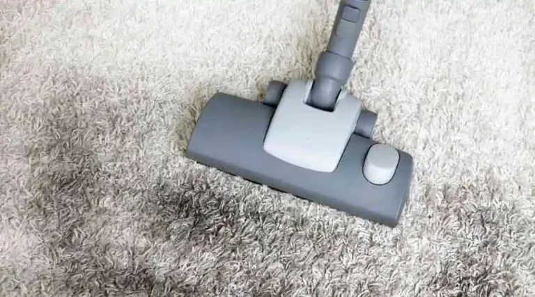What is in Our Dirty Carpets?