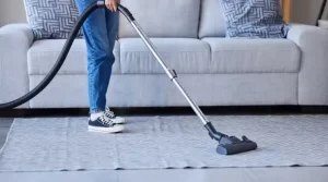 01.1 - diy or professional carpet cleaning